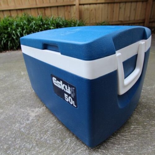  Esky 50L White/Blue Hard Ice High Quality RRP 150